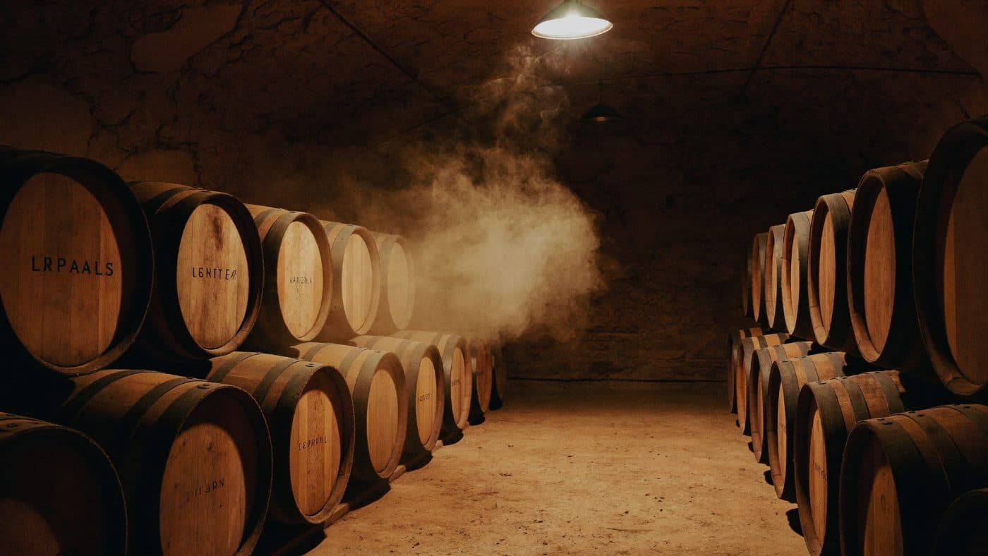 Vigneto, cantina o territorio del vino