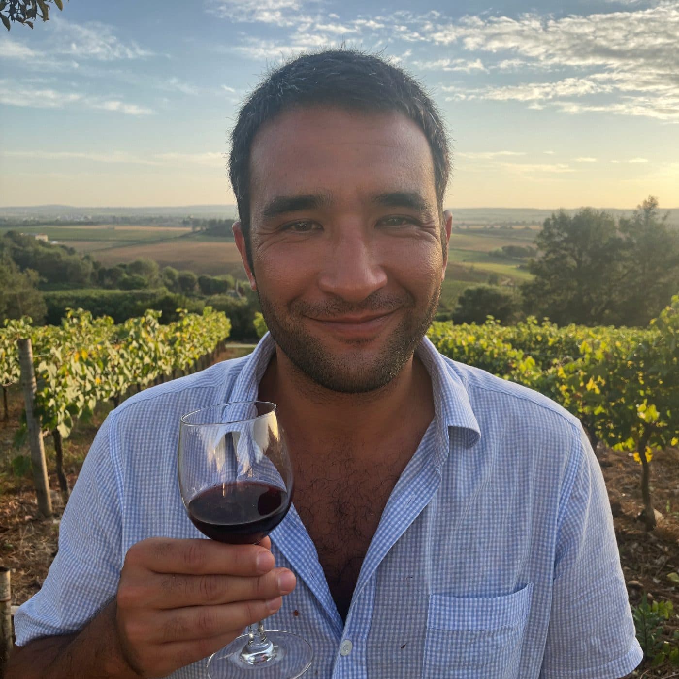 Vigneto, cantina o territorio del vino