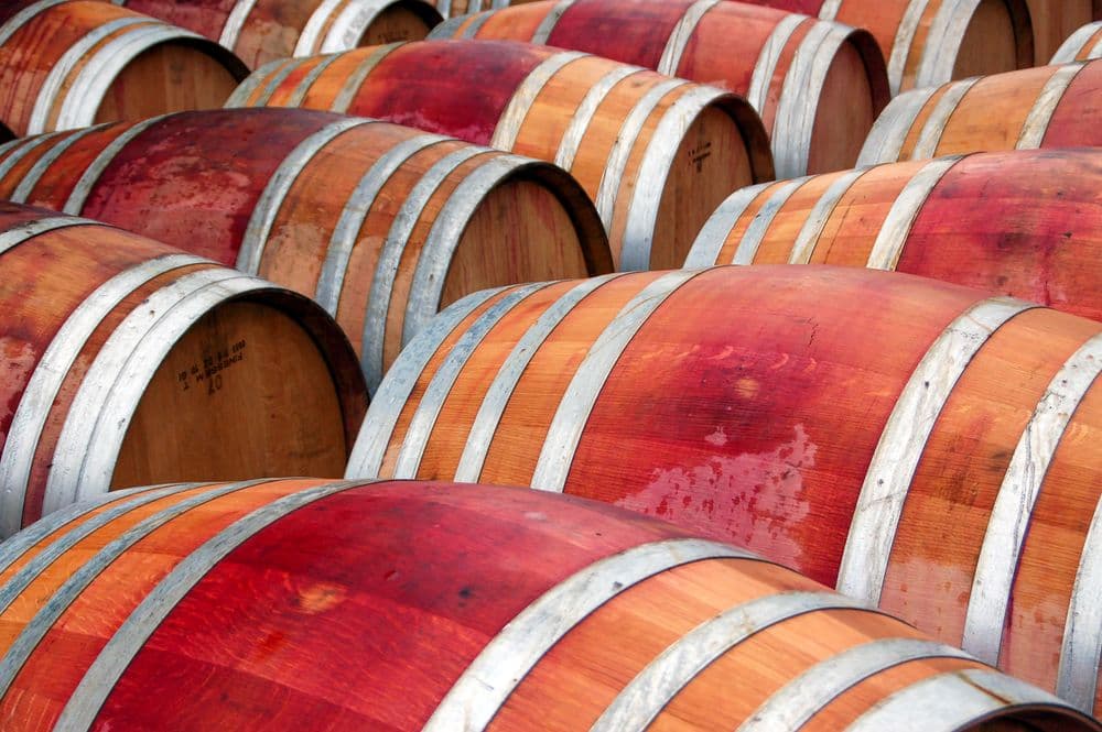 Vigneto, cantina o territorio del vino