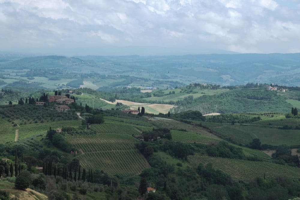 Vigneto, cantina o territorio del vino