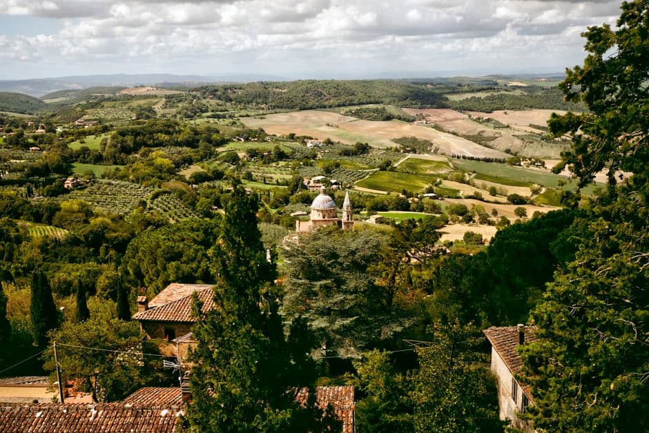 Vigneto, cantina o territorio del vino