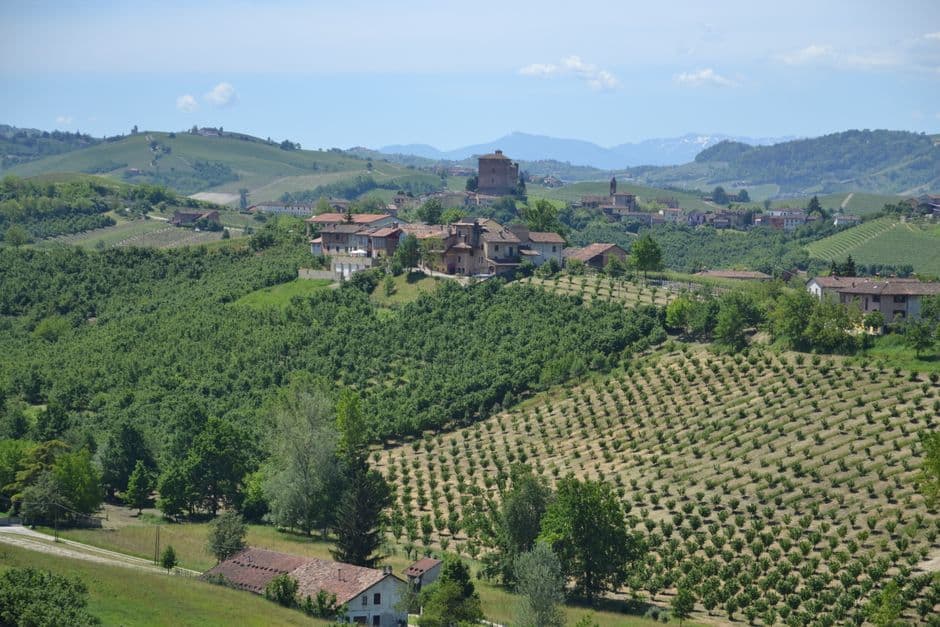 Vigneto, cantina o territorio del vino