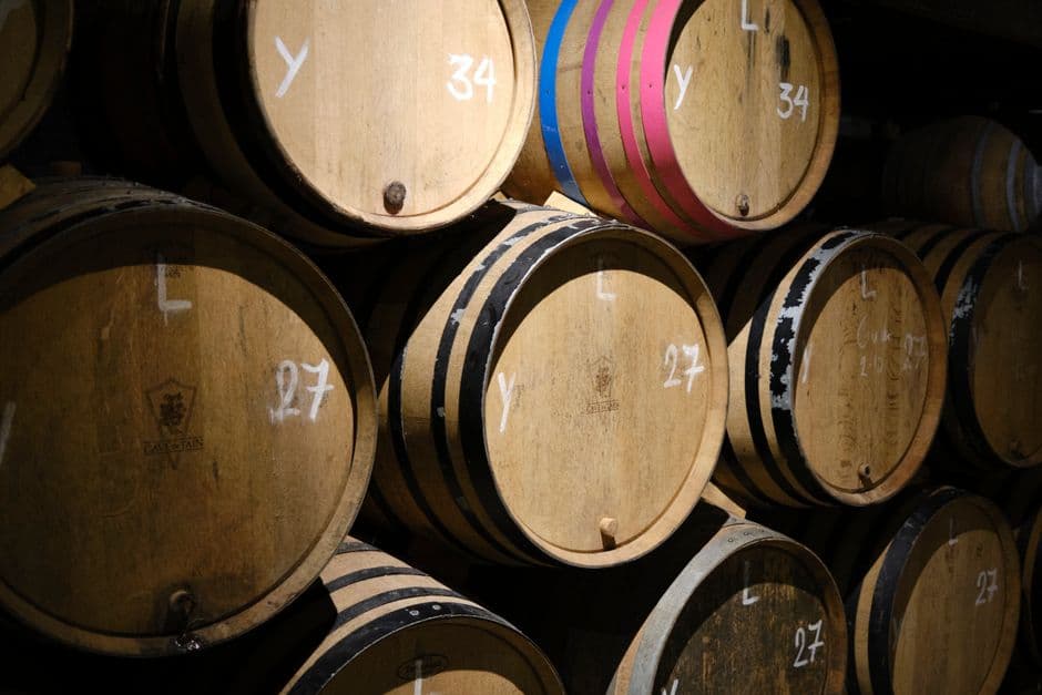 Vigneto, cantina o territorio del vino