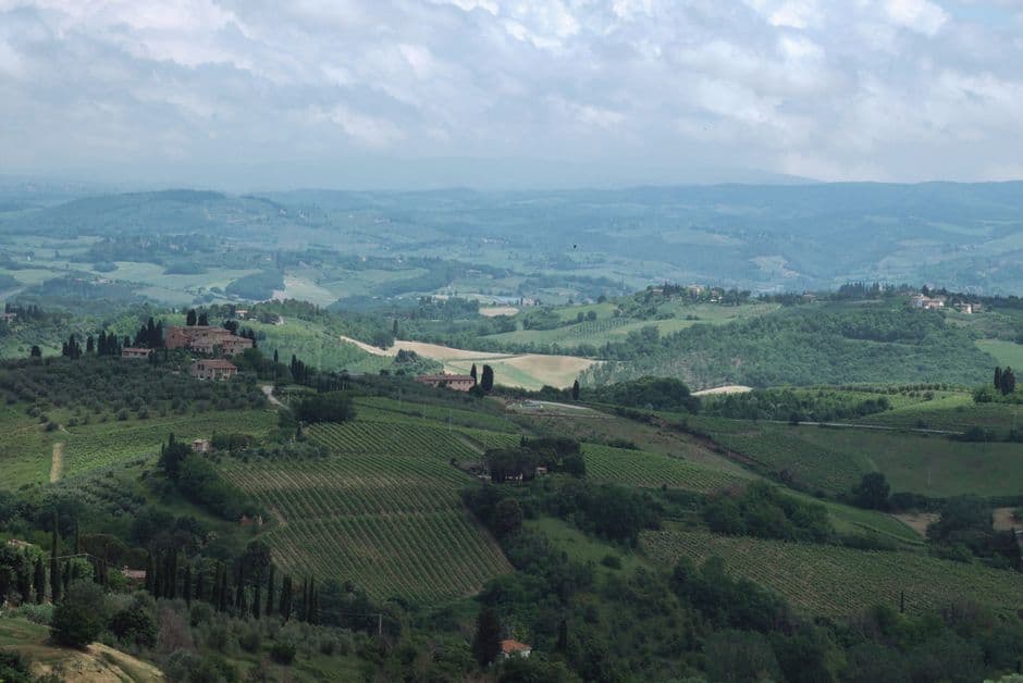 Vigneto, cantina o territorio del vino