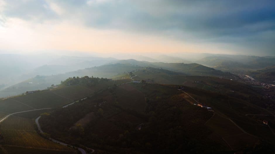 Vigneto, cantina o territorio del vino
