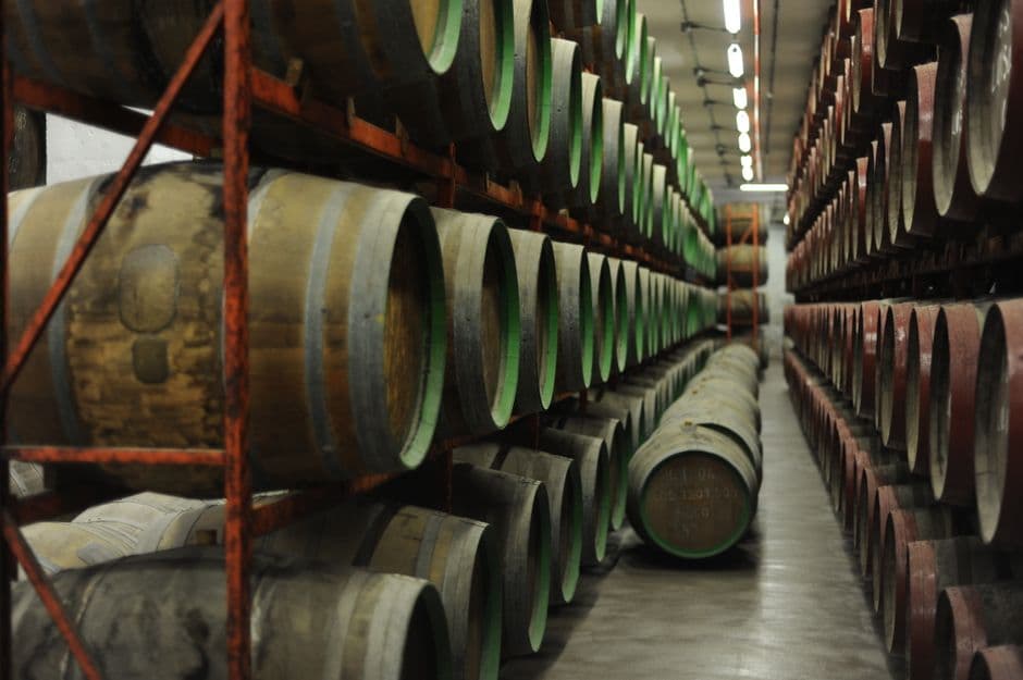 Vigneto, cantina o territorio del vino