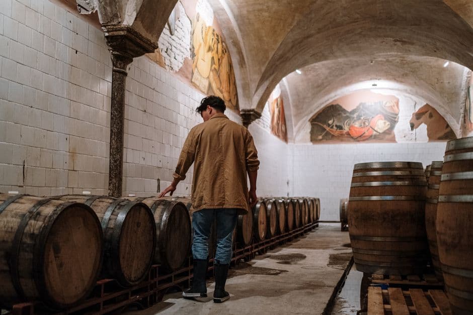 Vigneto, cantina o territorio del vino