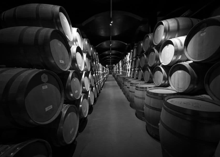 Vigneto, cantina o territorio del vino