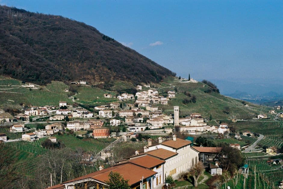 Vigneto, cantina o territorio del vino