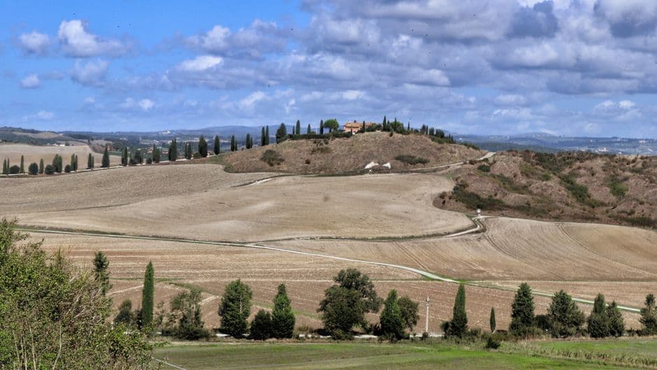Vigneto, cantina o territorio del vino