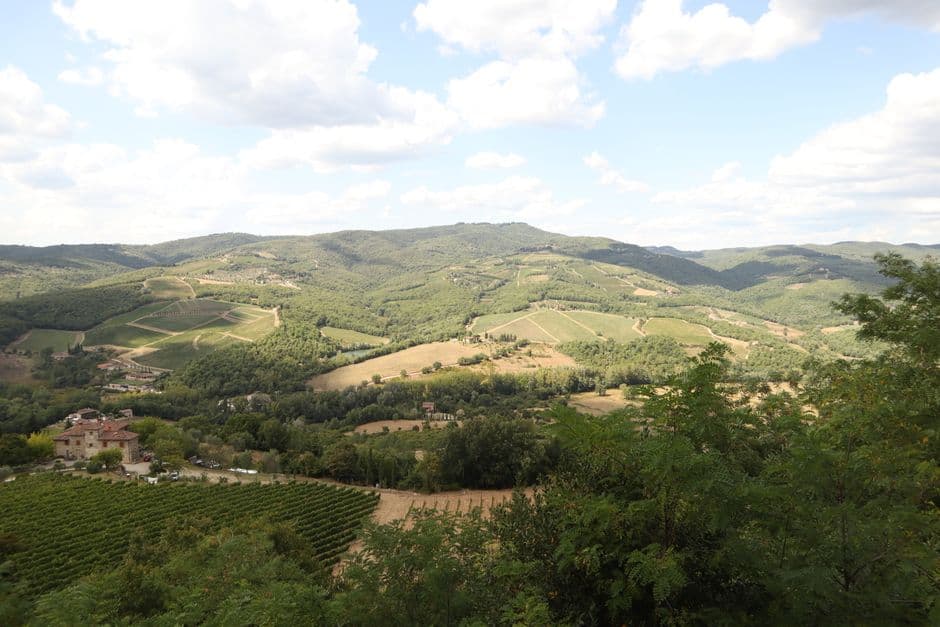 Vigneto, cantina o territorio del vino