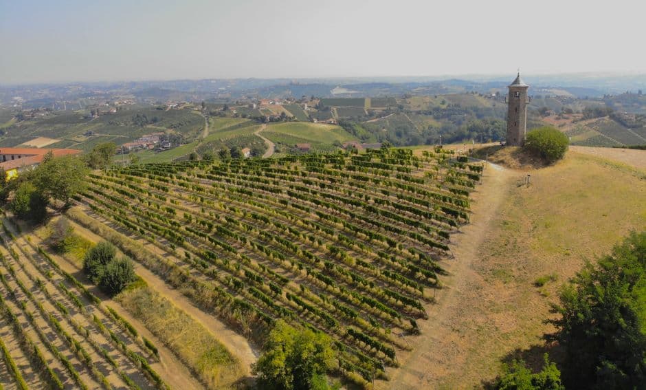 Vigneto, cantina o territorio del vino
