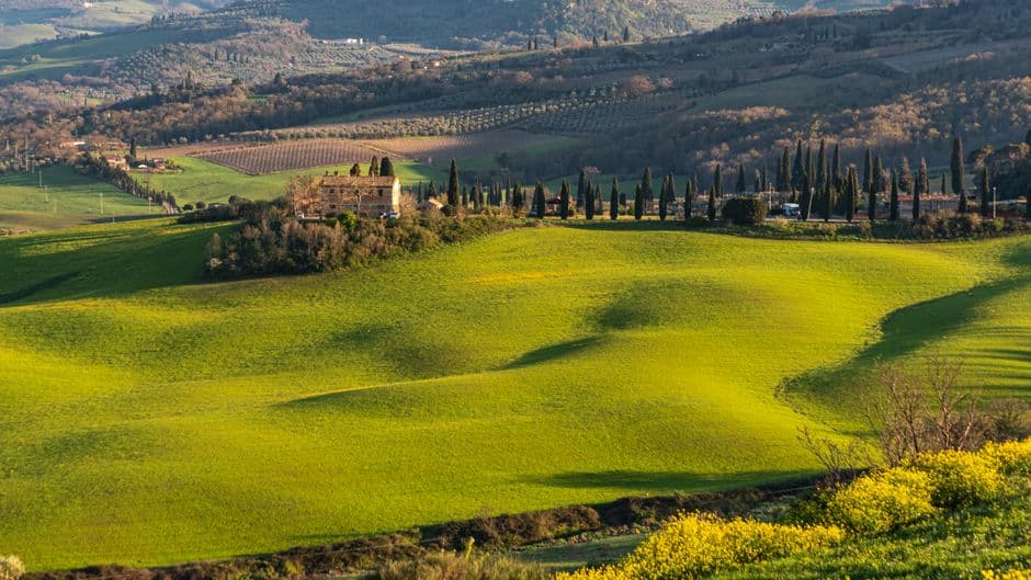Vigneto, cantina o territorio del vino