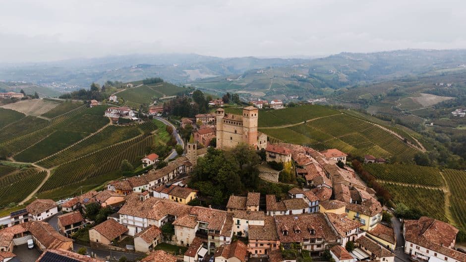 Vigneto, cantina o territorio del vino
