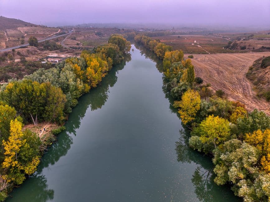 Vigneto, cantina o territorio del vino