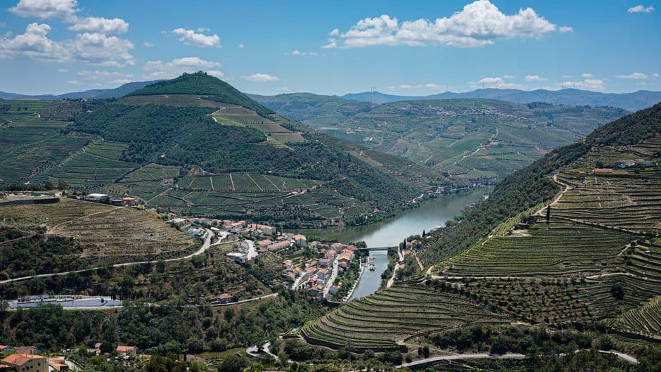 Vigneto, cantina o territorio del vino