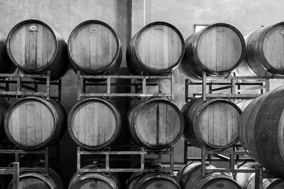 Vigneto, cantina o territorio del vino