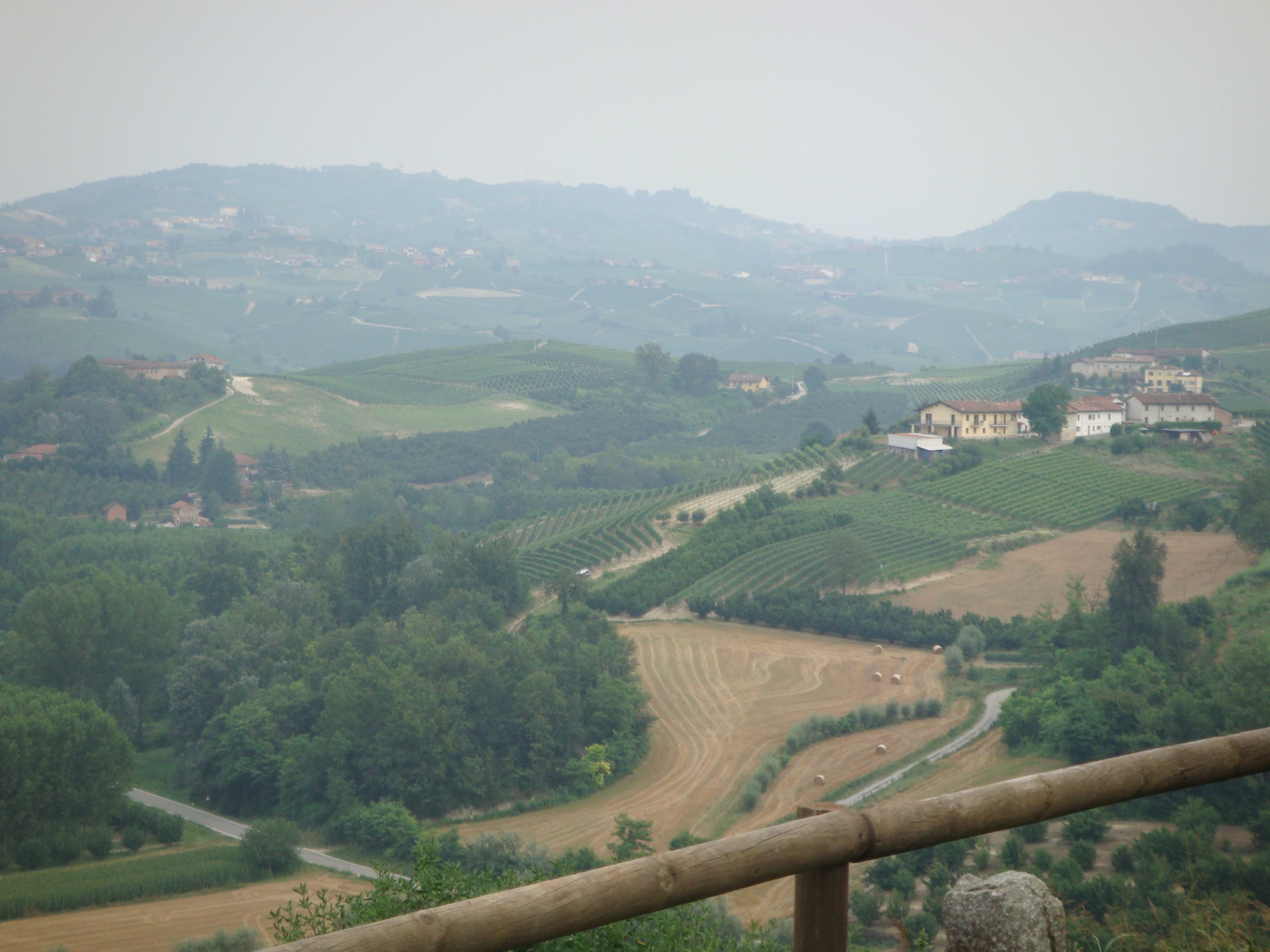 Vigneto, cantina o territorio del vino