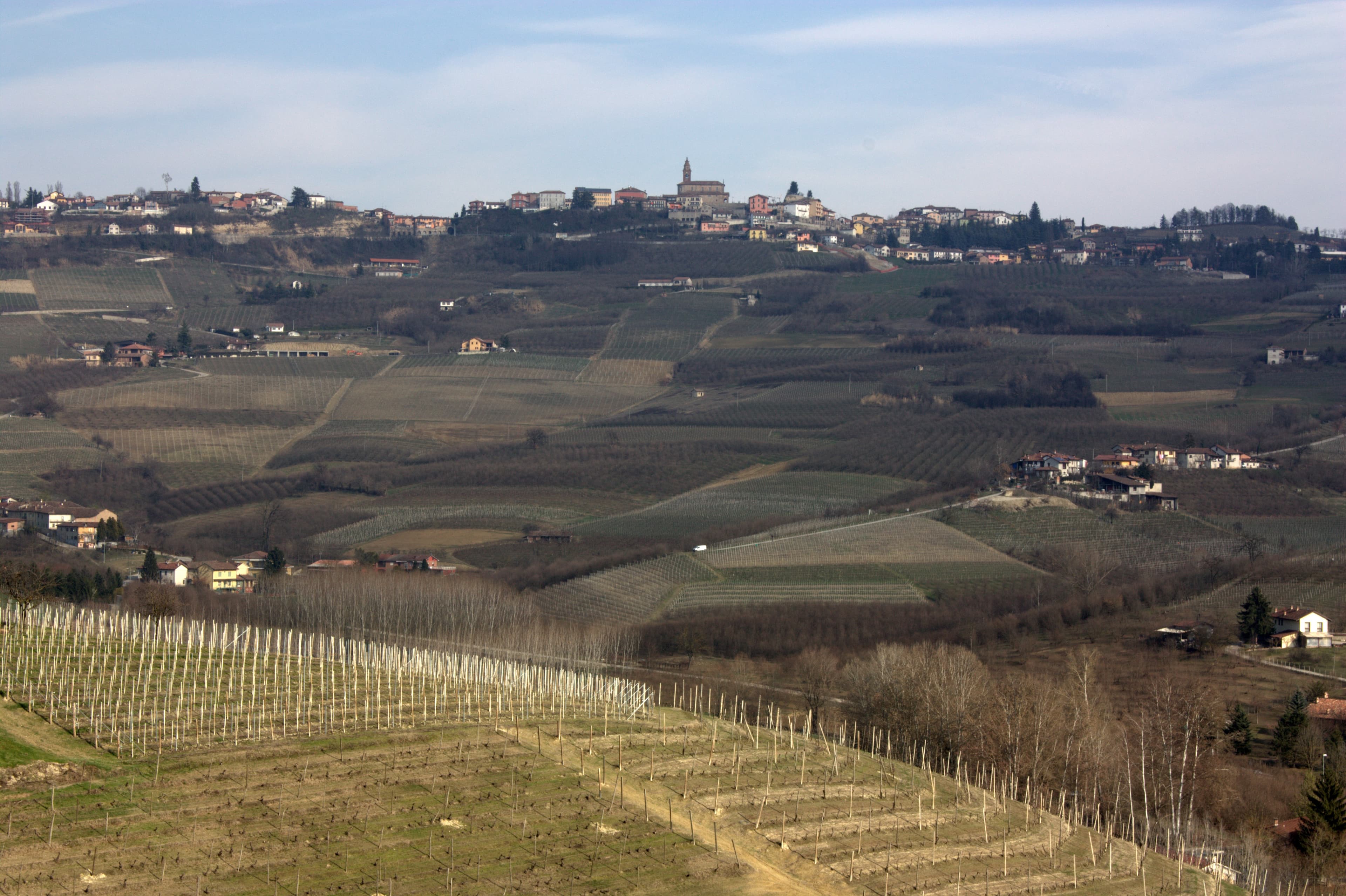 Vigneto, cantina o territorio del vino