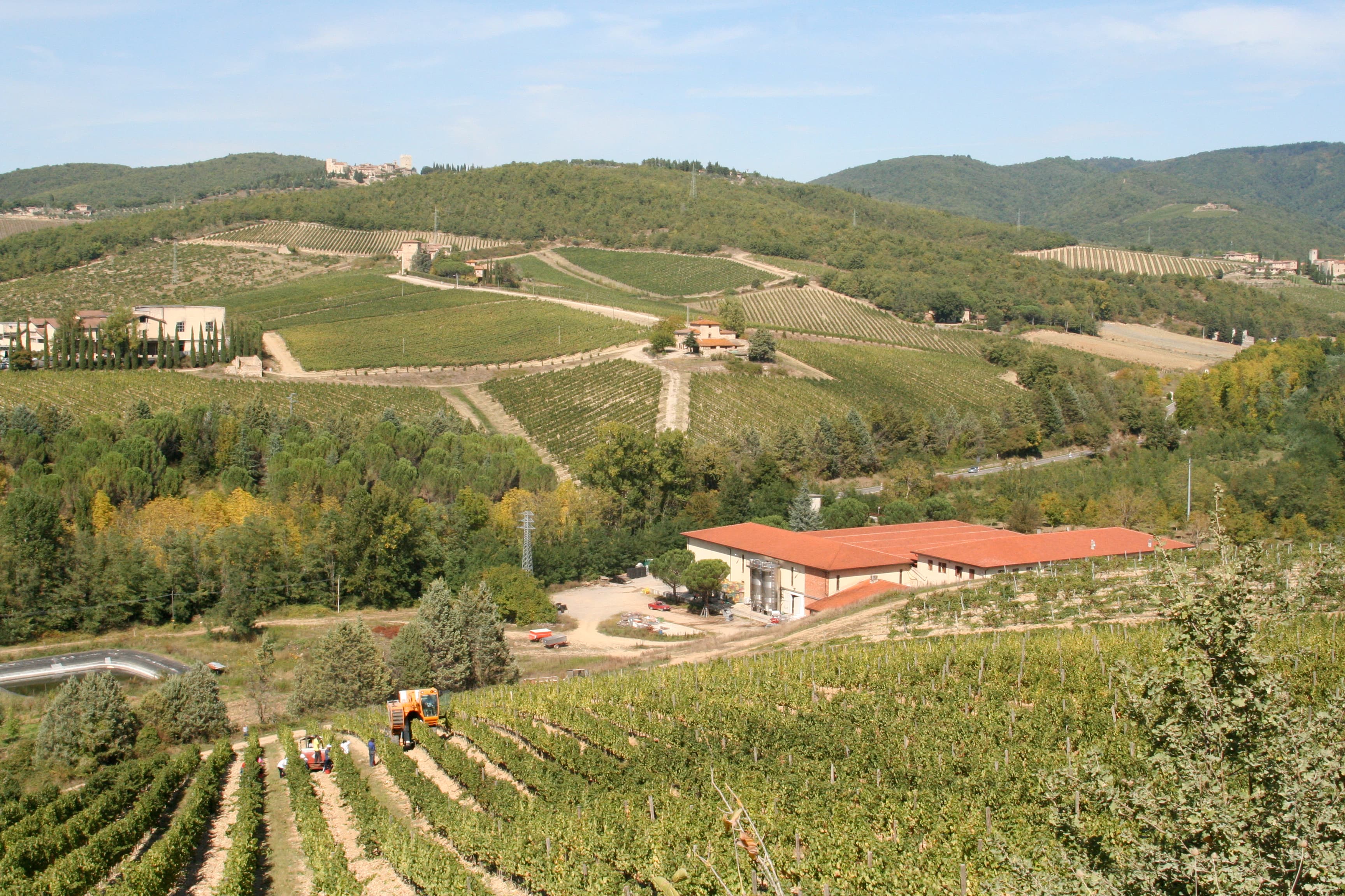 Vigneto, cantina o territorio del vino