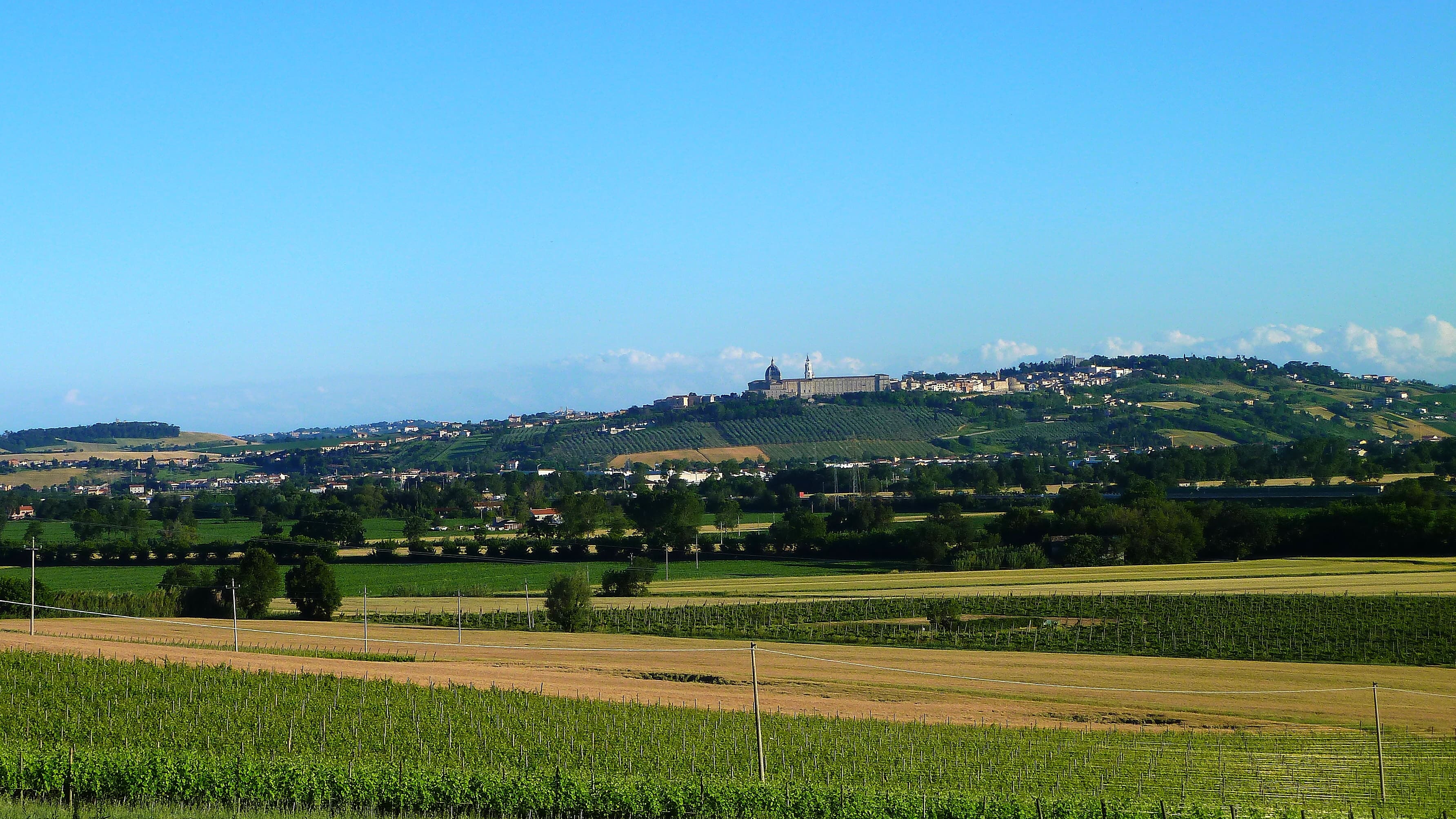 Vigneto, cantina o territorio del vino