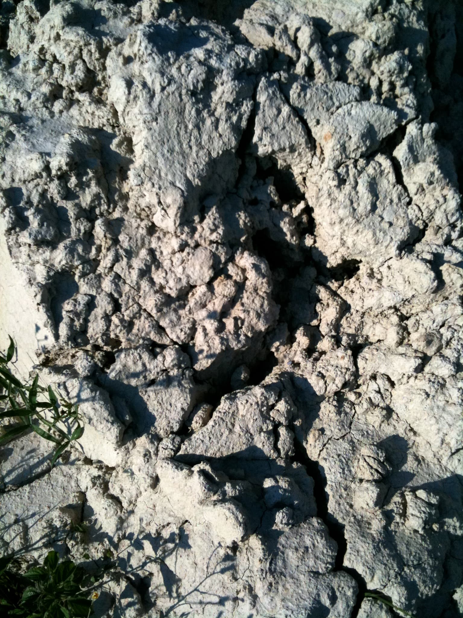 Vigneto, cantina o territorio del vino