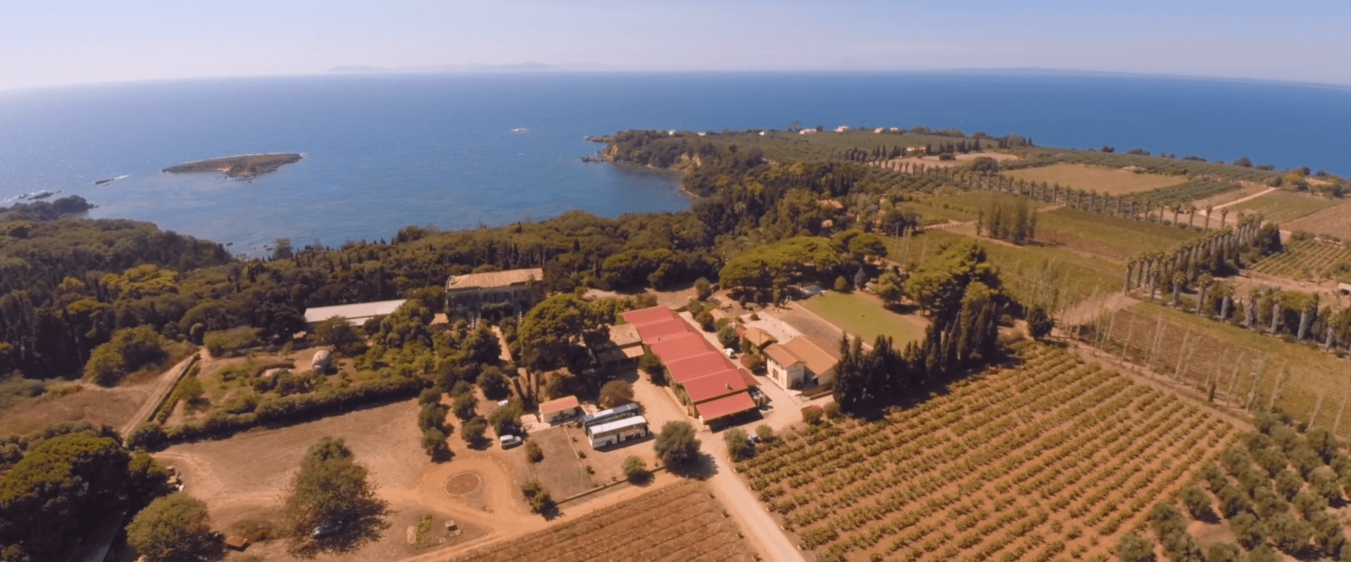 Vigneto, cantina o territorio del vino