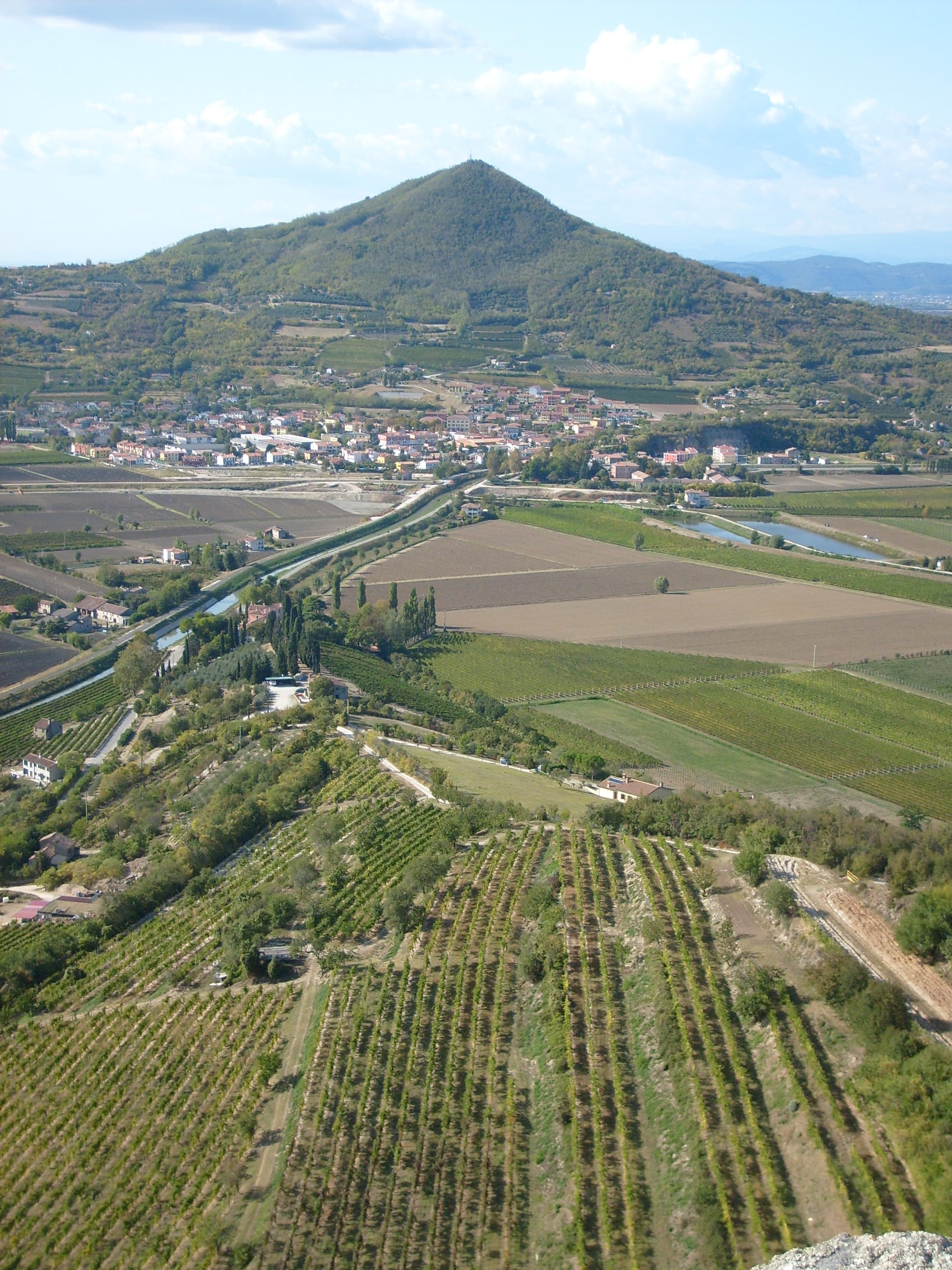Vigneto, cantina o territorio del vino