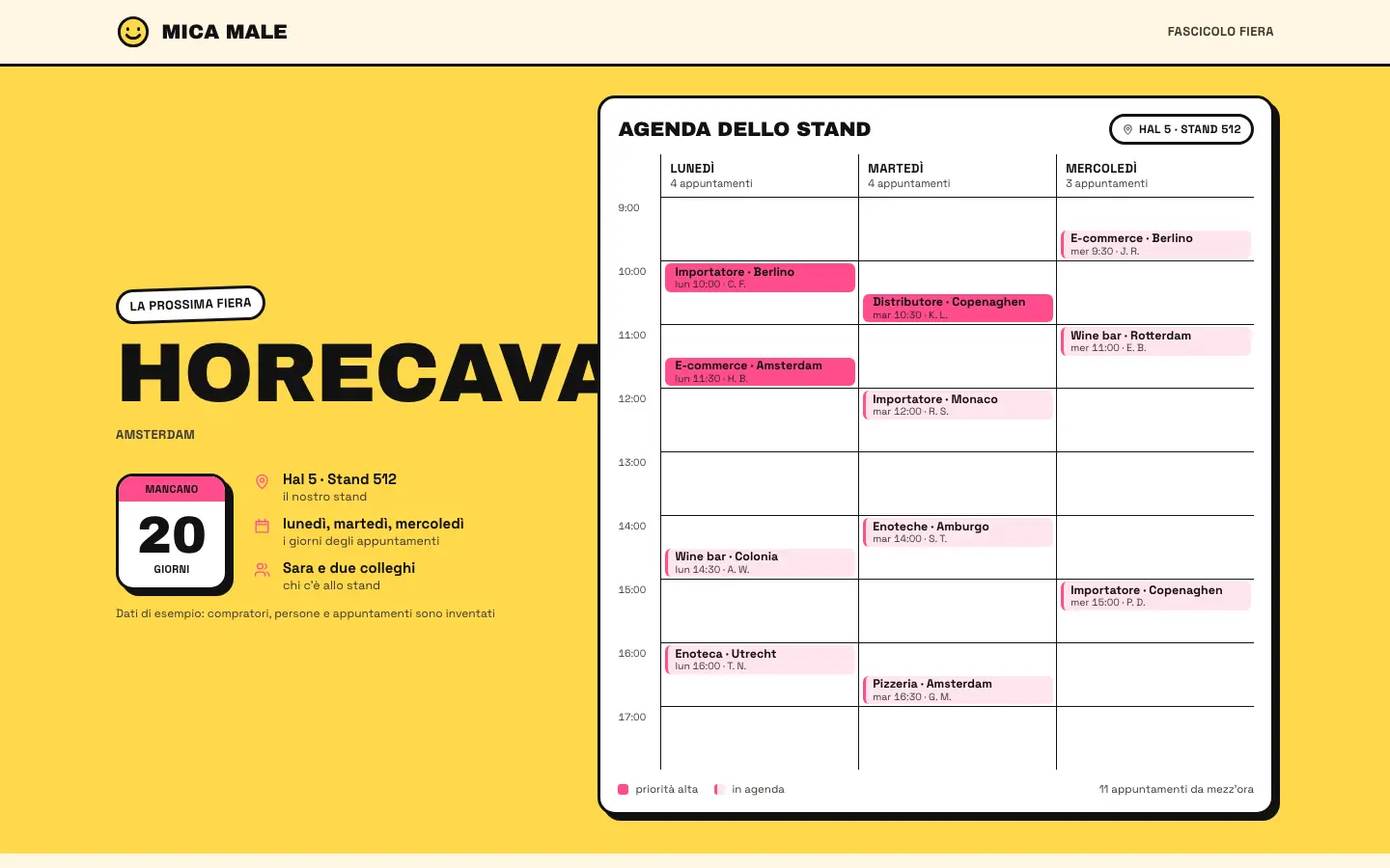 Il template «Brio» come si vede aprendolo