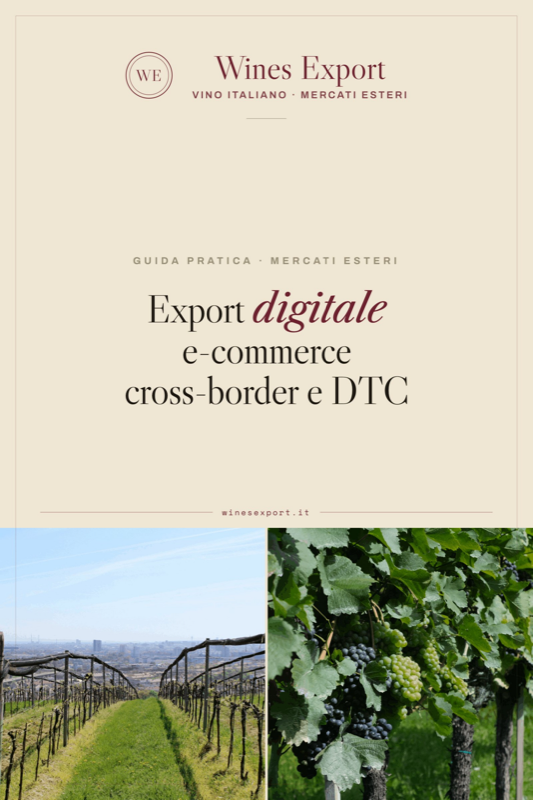 Copertina della guida: Export digitale: e-commerce cross-border e DTC