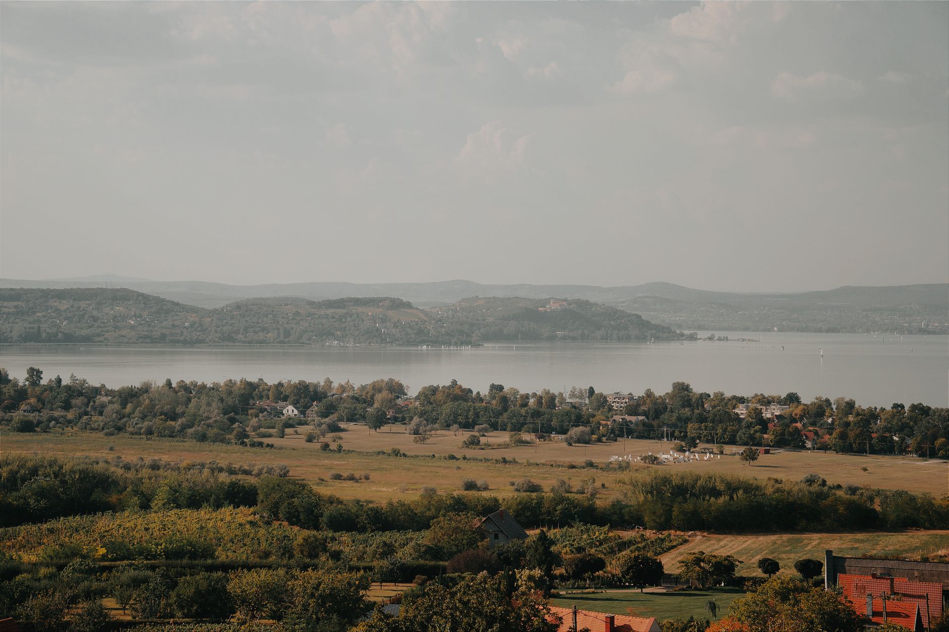 Vigneto in Ungheria