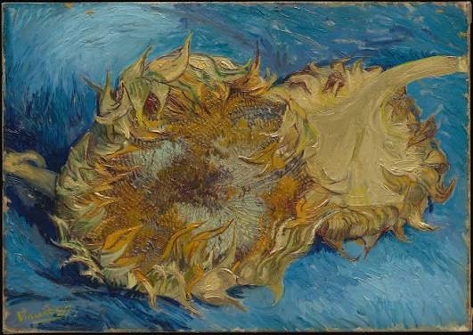 L'opera sull'etichetta del vino Girasole